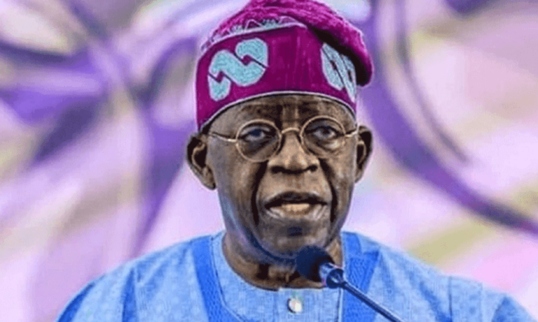 Tinubu meets Saint Kitts and Nevis leader, seek stronger ties