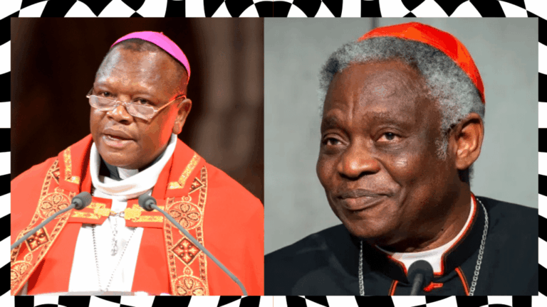 Top 2 African Cardinals Who Could Be the Next Pope