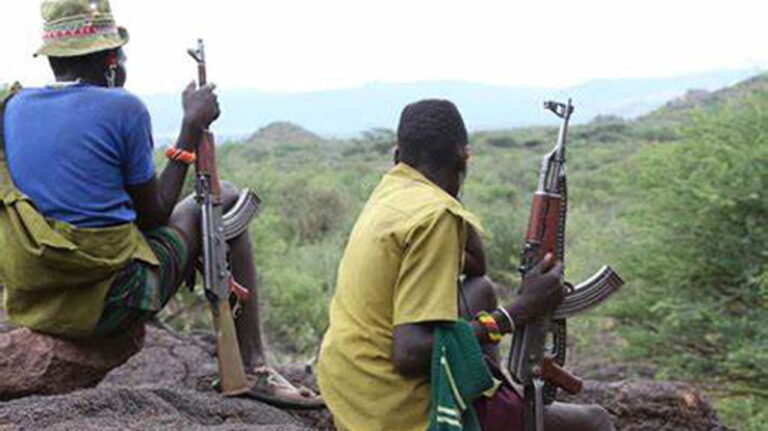 New terrorist group, Mahmuda occupying parts of Kwara, Niger states – Emir cries out
