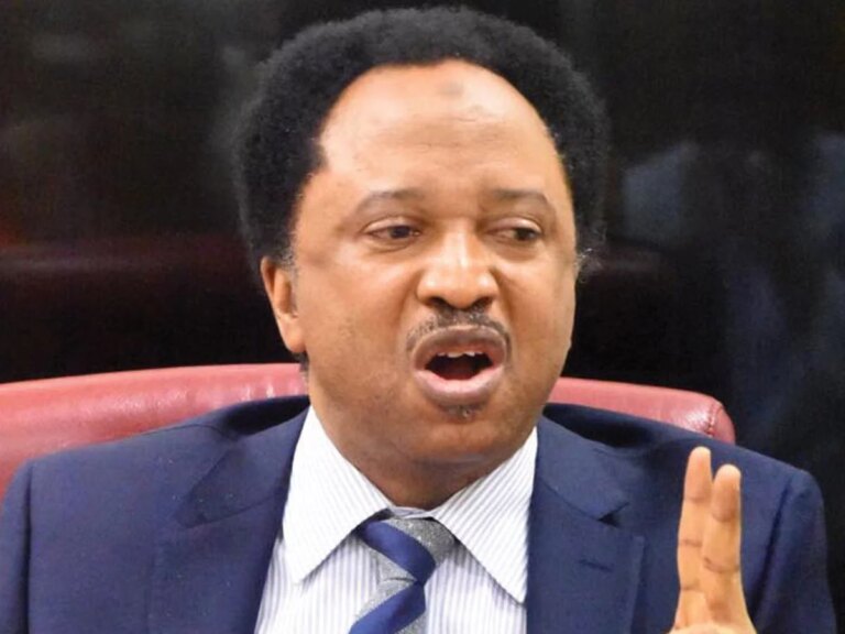 Yorubas, Northerners dominate Tinubu’s political appointments – Shehu Sani