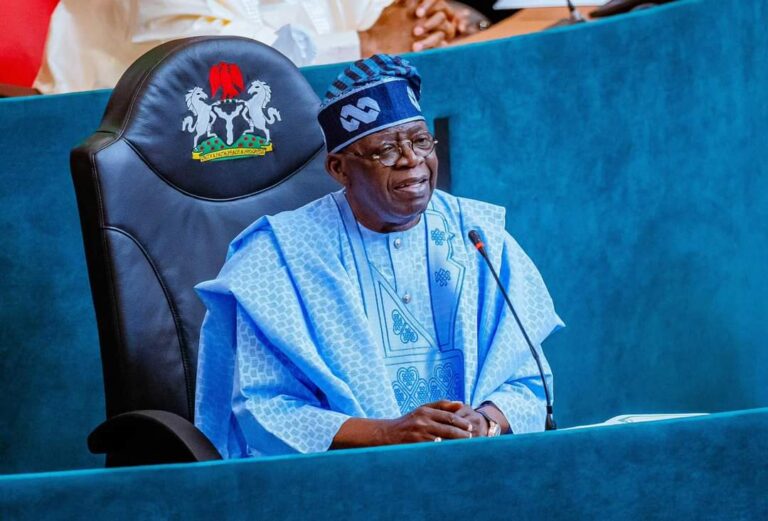 ‘No more planning approvals for illegal islands’ – Tinubu warns governors