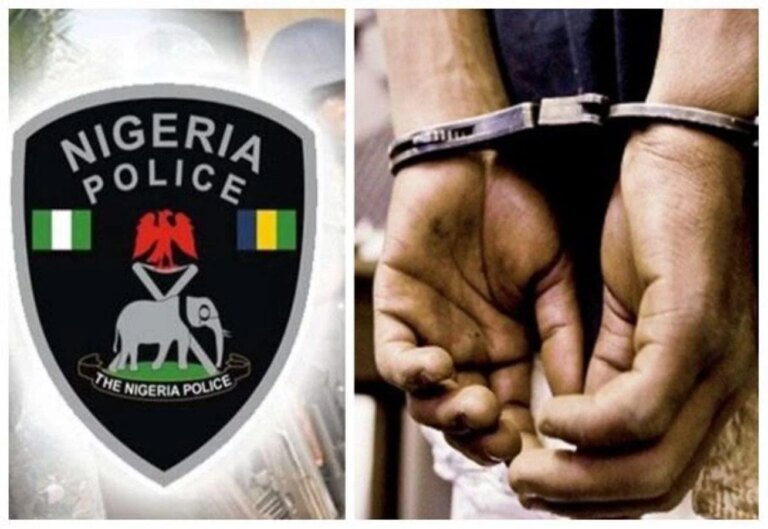 Man arrested for allegedly killing mother during domestic dispute in Benue Man arrested for allegedly killing mother during domestic dispute in Benue