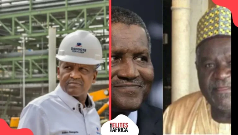 Dantata and Sawoe Accused of Owing $1.4 Million at Dangote Plant Dantata and Sawoe Accused of Owing $1.4 Million at Dangote Plant