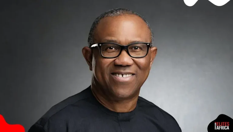 Peter Obi to Run for President in 2027 Election