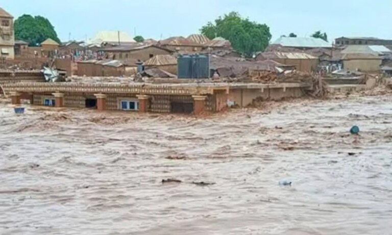 Mokwa Flood: Declare environmental emergency, be proactive – HOMEF to Nigerian Govt