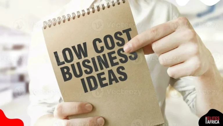 Top 5 Low-Cost Business Ideas Nigerians Are Jumping on in 2025