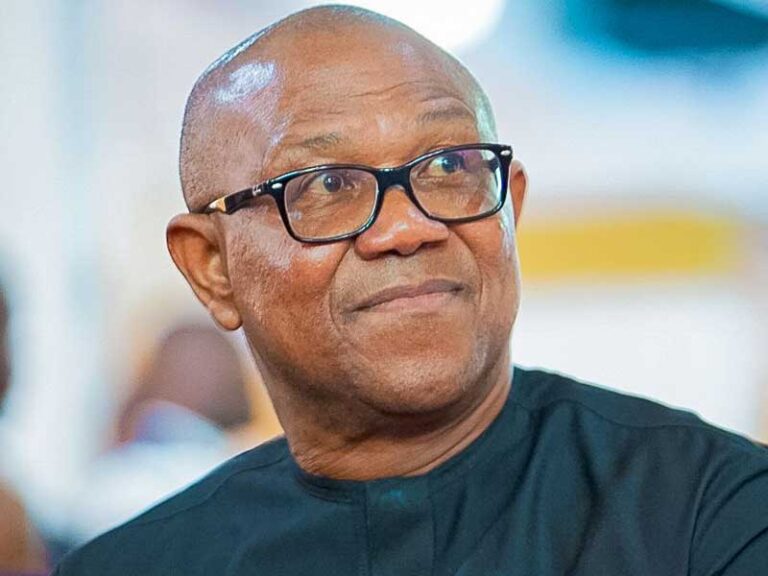 Peter Obi cannot risk going back to PDP – ADC warns Peter Obi cannot risk going back to PDP – ADC warns