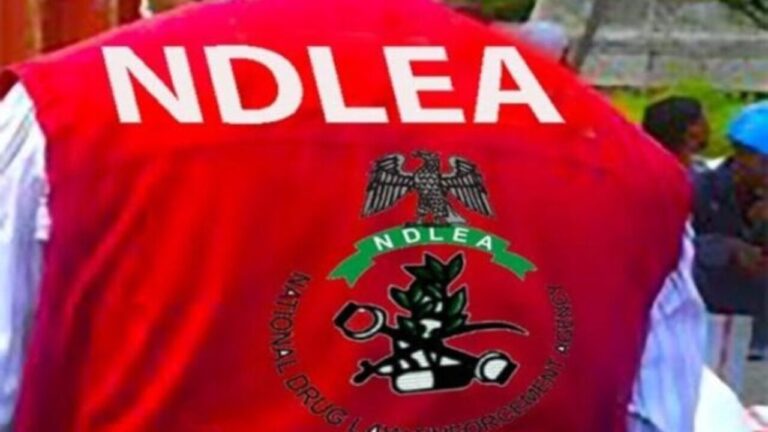 NDLEA intercepts 74,360 pills of opioids in Borno, arrests suspect NDLEA intercepts 74,360 pills of opioids in Borno, arrests suspect
