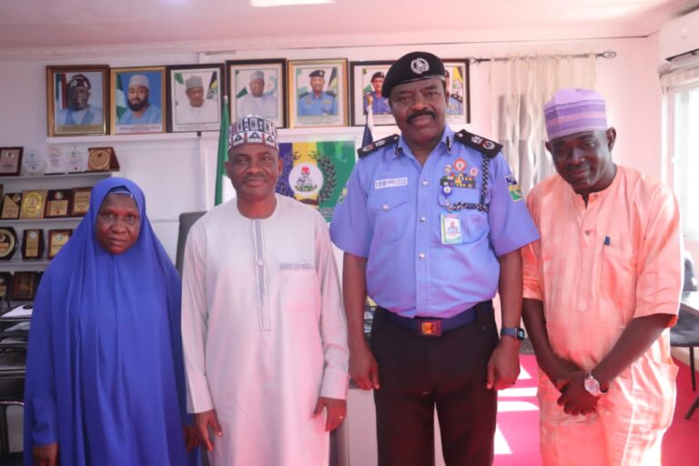 Mineral resources abound in Niger State but poorly harnesssed – Federal Mines Officer