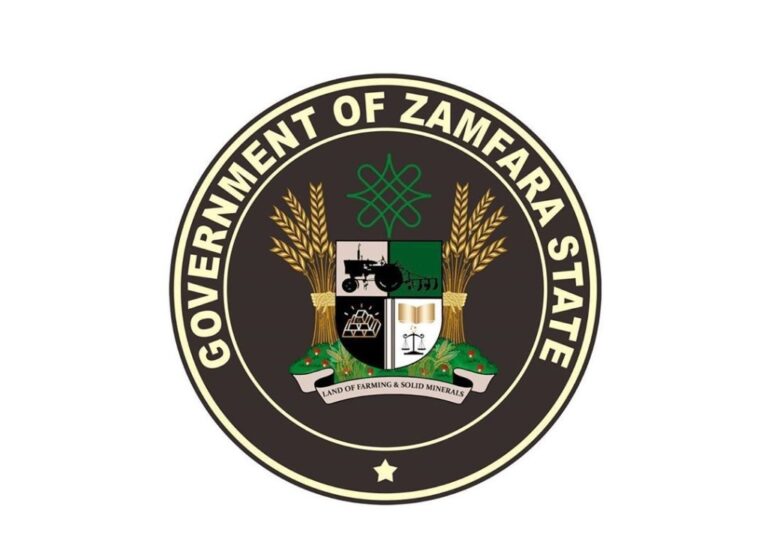 Zamfara govt appeals for more humanitarian aid for IDPs