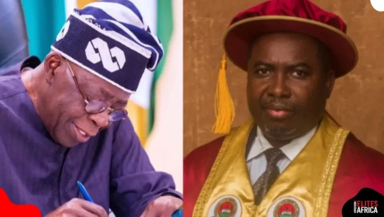 Why I Chose Amupitan as INEC Chair — Tinubu Why I Chose Amupitan as INEC Chair — Tinubu
