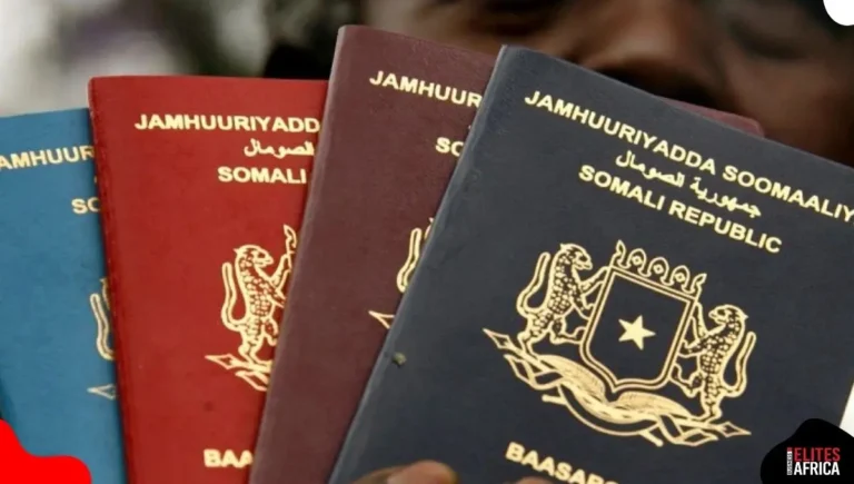 7 Strongest African Passports in 2025