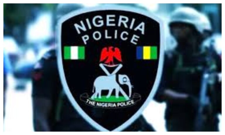 Police recover stolen vehicles, arrest suspect in Yola