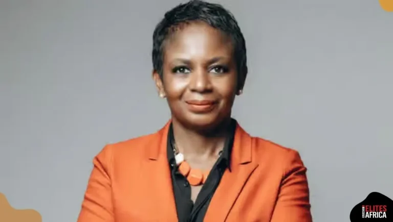 Awele Elumelu Appointed Chairperson of Transcorp Hotels Board