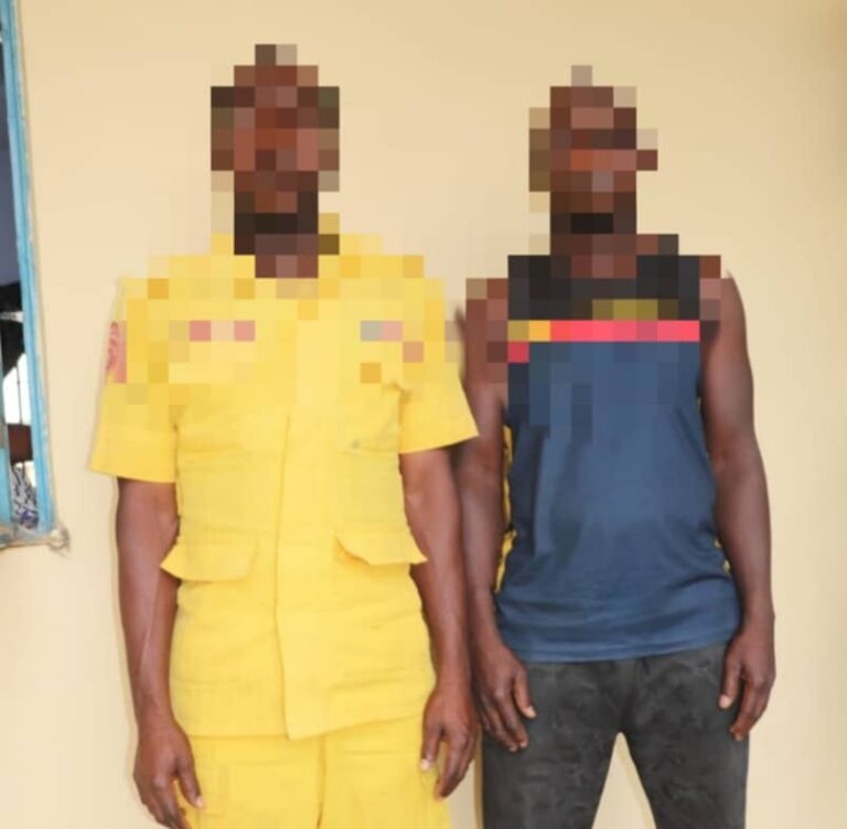 Police foil gold heist worth N22m, arrest two suspects in Niger