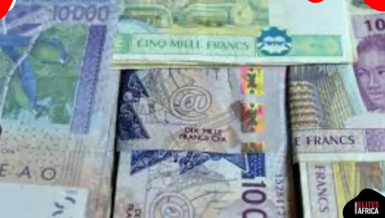 What’s Next as Nigeria and 11 West African Nations Move Closer to the Eco Currency