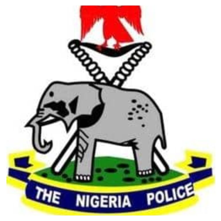 Police recover 274 sheep, arrest four suspected livestock thieves in Gombe