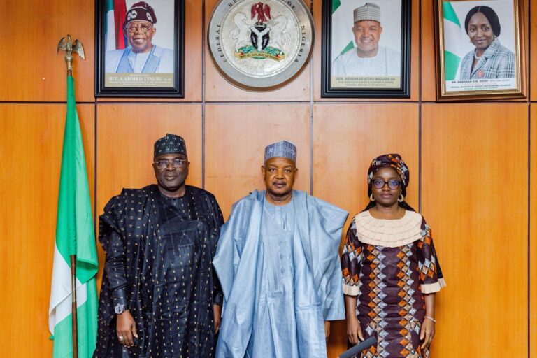 FG eyes partnerships with international donors to fund national census