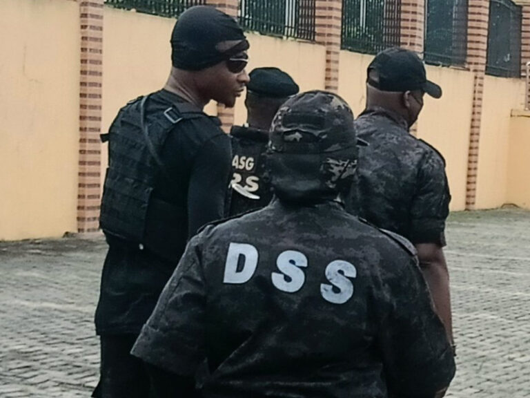 DSS arrests female ammunition supplier