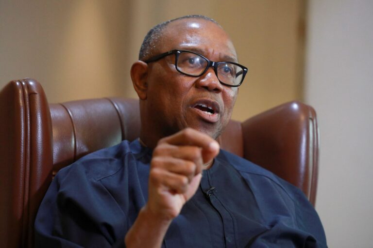 Nigeria Cannot Survive Under Weight of Persistent Killings, Insecurity — Peter Obi
