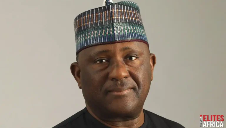 Africa Must Stop Exporting Raw Materials, Says BUA