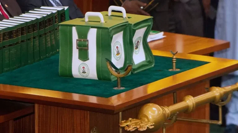 Why FG’s budgets fail to translate into tangible development – BudgIT