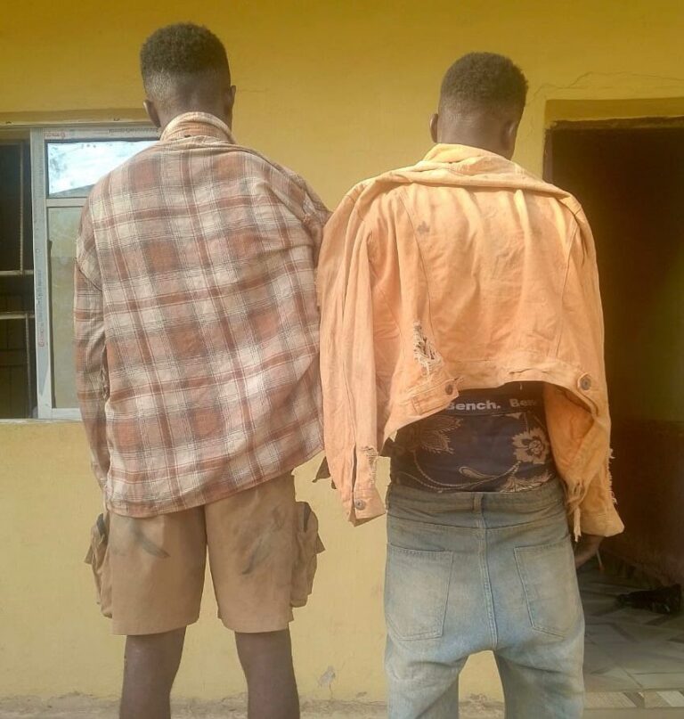 Police arrest two for attempted theft of two-week-old baby in Abia