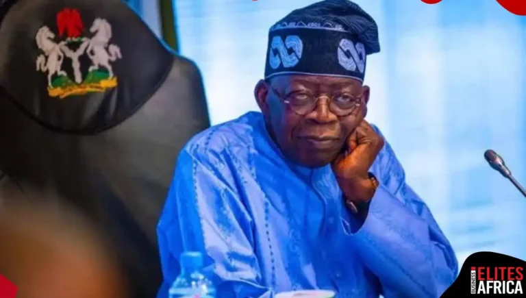 Why Nigeria’s 75.6% Government Credit Jump Matters to Businesses