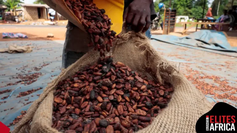 West African Cocoa Exporters Eye Higher Earnings as Prices Reach 24-Week High West African Cocoa Exporters Eye Higher Earnings as Prices Reach 24-Week High