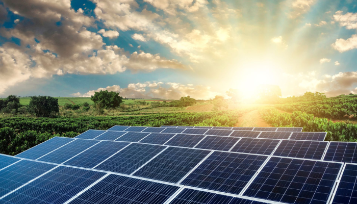 FG electrifies 13,000 homes, businesses in Rivers with 12MW solar grids FG electrifies 13,000 homes, businesses in Rivers with 12MW solar grids