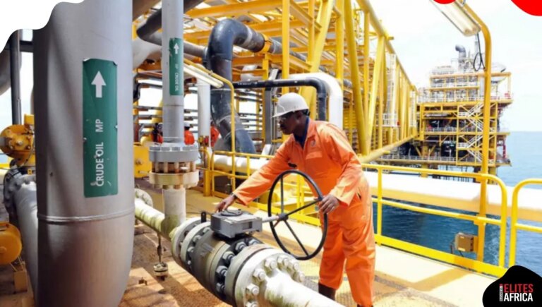 Nigeria returns 13 unbid oil blocks to licensing pool as 196 firms qualify for commercial bidding