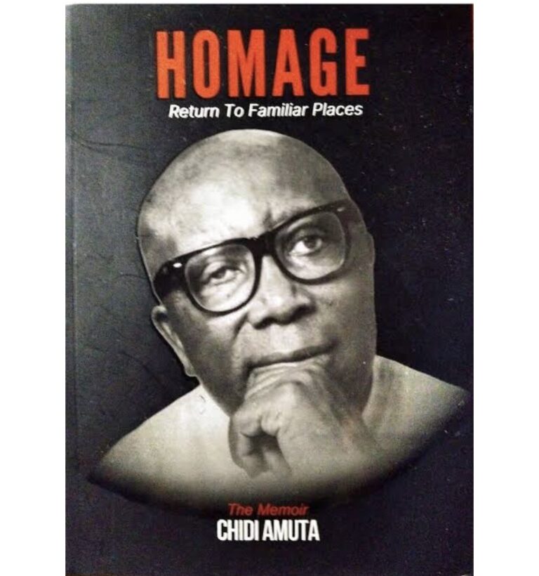 A mosaic that reflects Nigeria’s fractured yet enduring soul A mosaic that reflects Nigeria’s fractured yet enduring soul