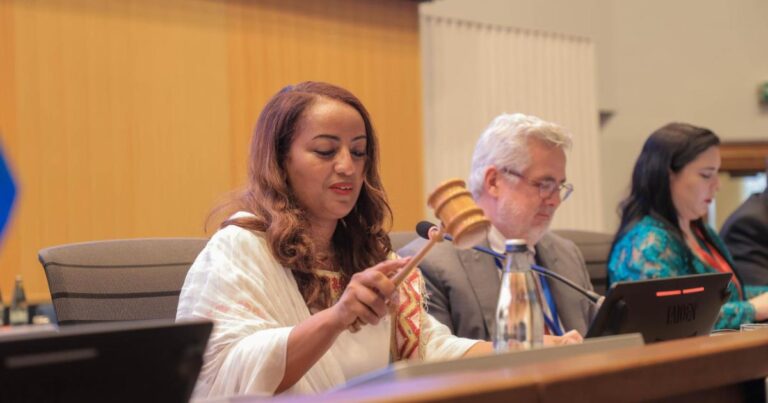 Ethiopia’s Health Minister Elected Chairperson of WHO Regional Committee for Africa