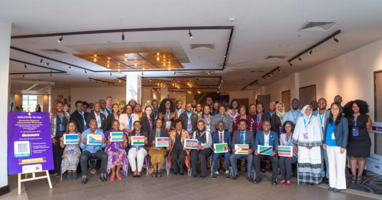 Strengthening dementia care in the African Region