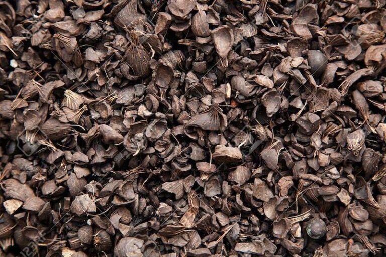 Uproar in eastern ports over suspension of export of palm kernel shell cargo from Nigeria